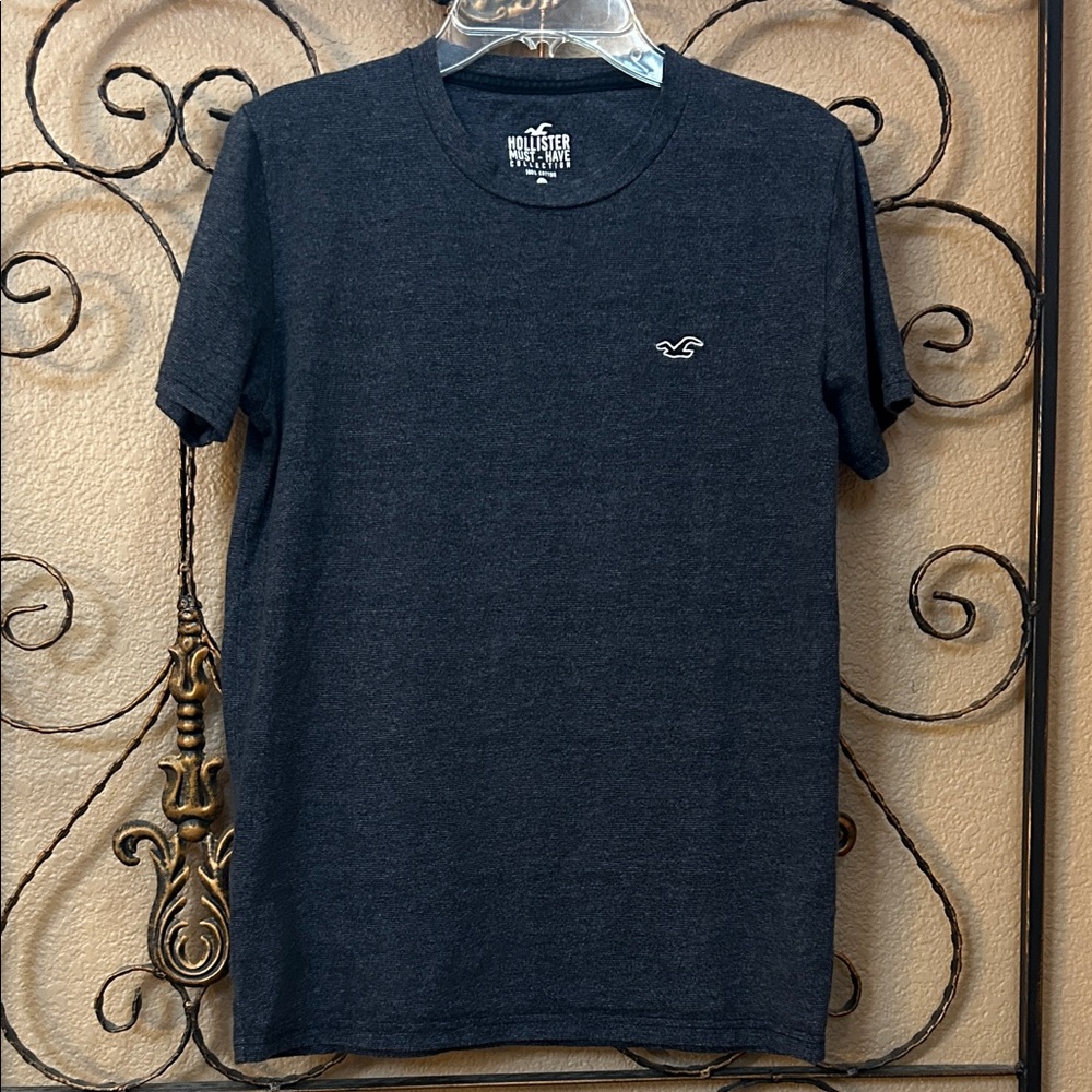 Hollister T